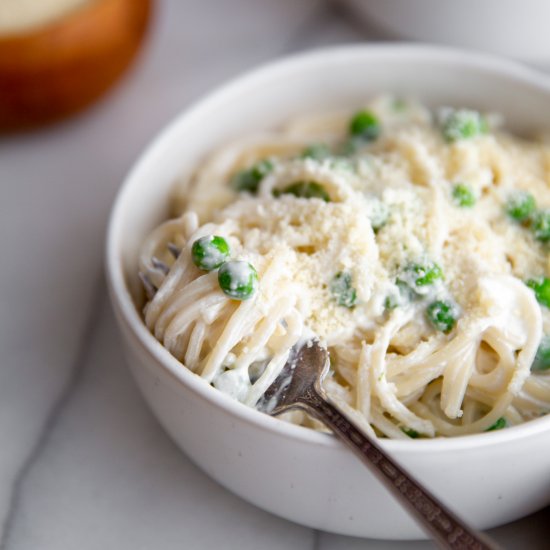 Cottage Cheese  Alfredo Pasta