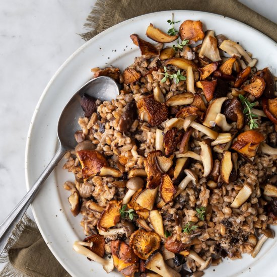 farro risotto with wild mushrooms