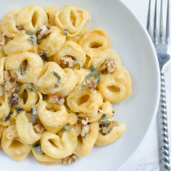 Pumpkin Alfredo Tortellini