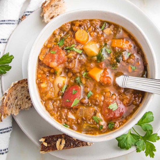 Hearty Vegan Lentil Soup