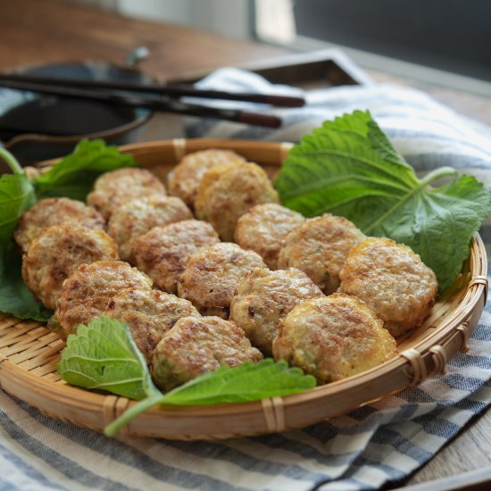 Meat Tofu Patties