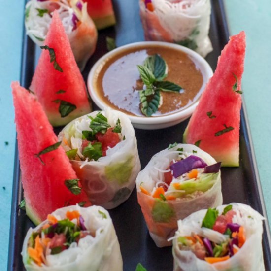 Watermelon Prosciutto Salad Rolls