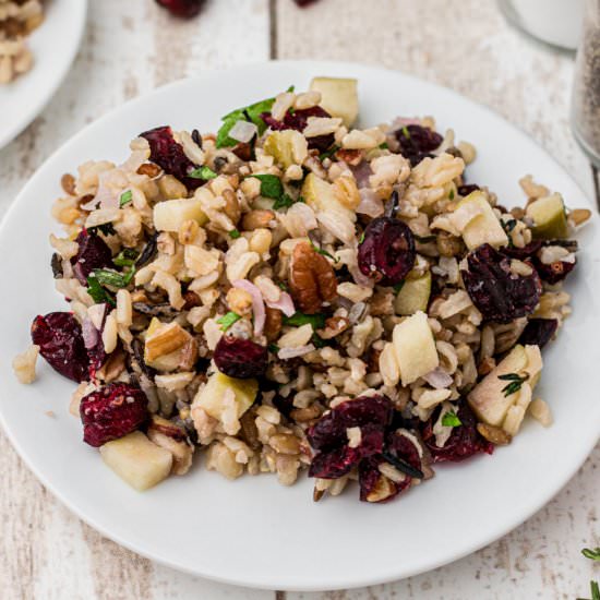 Cranberry Apple Rice Pilaf