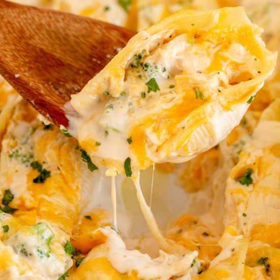 Chicken Alfredo Stuffed Shells