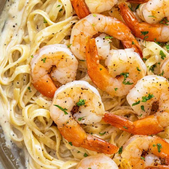 Shrimp Alfredo