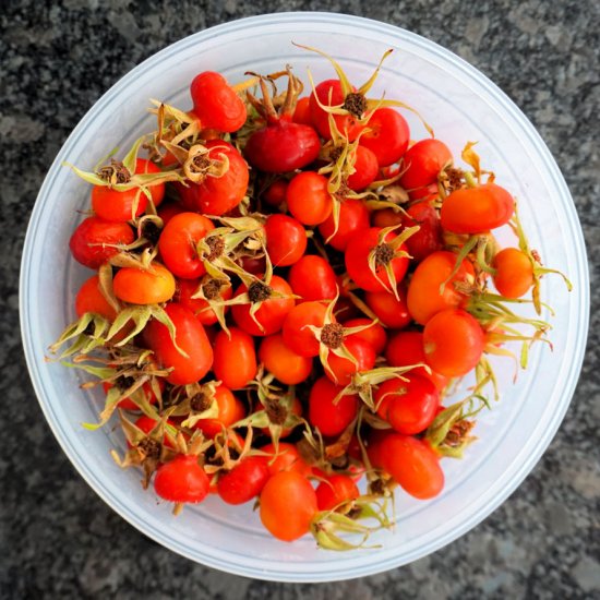 rose hip jam