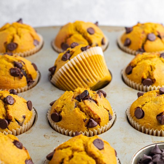 Pumpkin Chocolate Chip Muffins