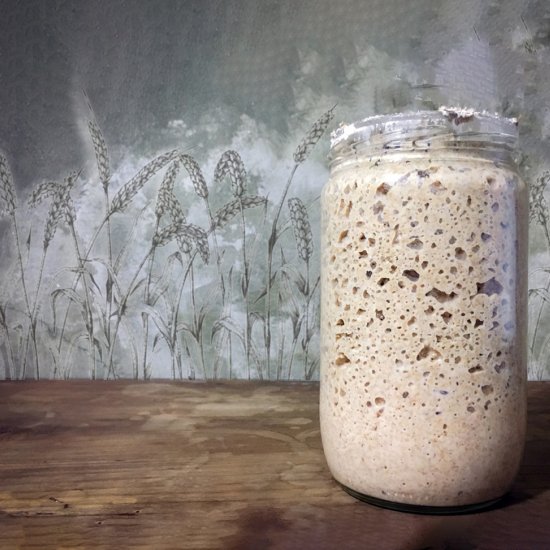 Rye sourdough starter in easy step