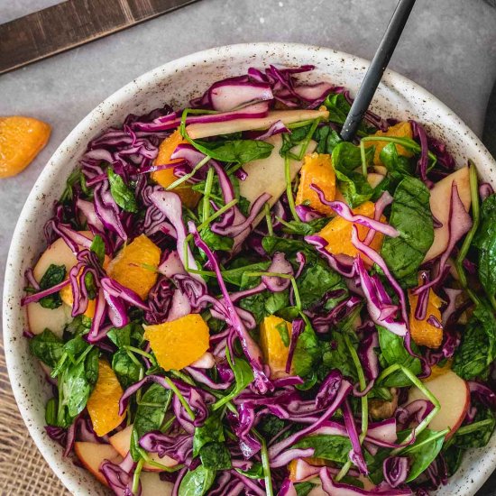 Red Cabbage Salad with Apple