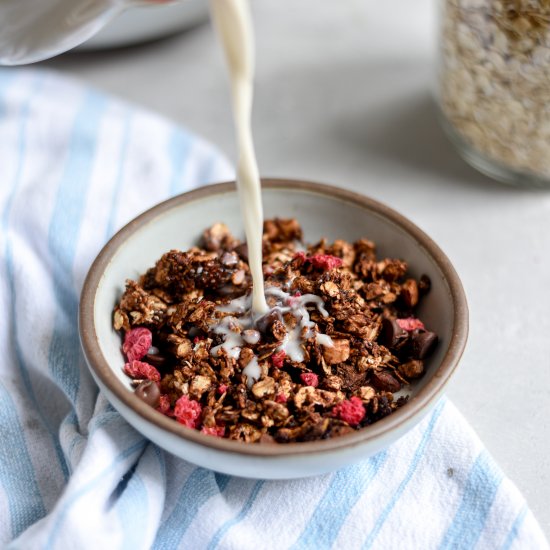 Dark Chocolate Raspberry Granola