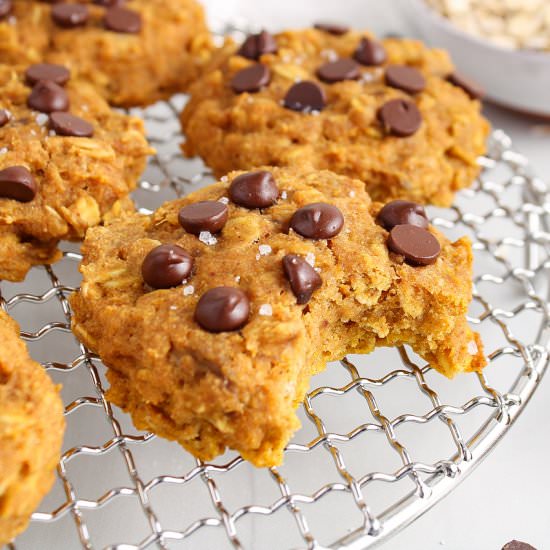 Vegan Pumpkin Chocolate Chip Cookie