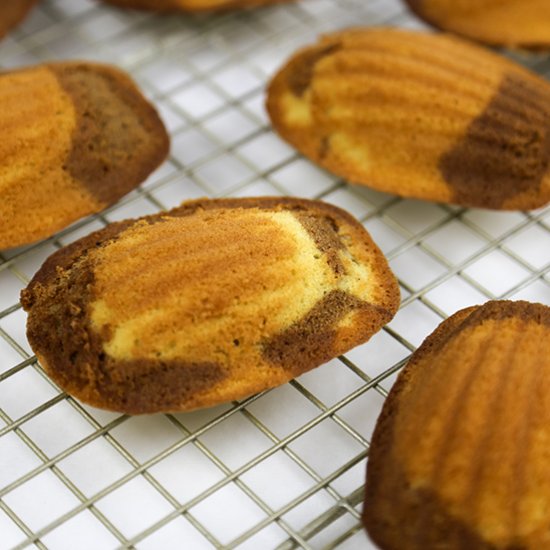 MARBLE MADELEINES