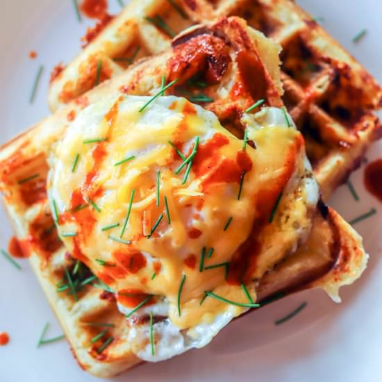 Shaggy Mane Mushroom Waffles