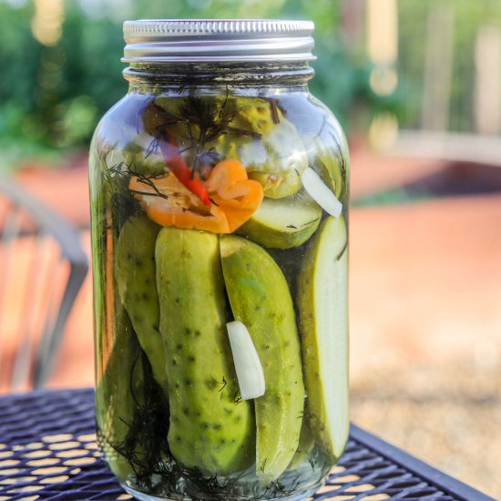 Zesty Refrigerated Dill Pickles