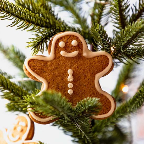 Gluten-free Gingerbread Cookies