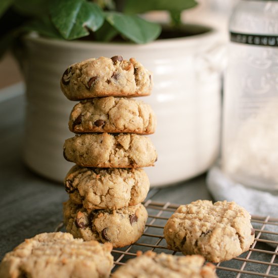 Coconut Flour Oatmeal Cookies