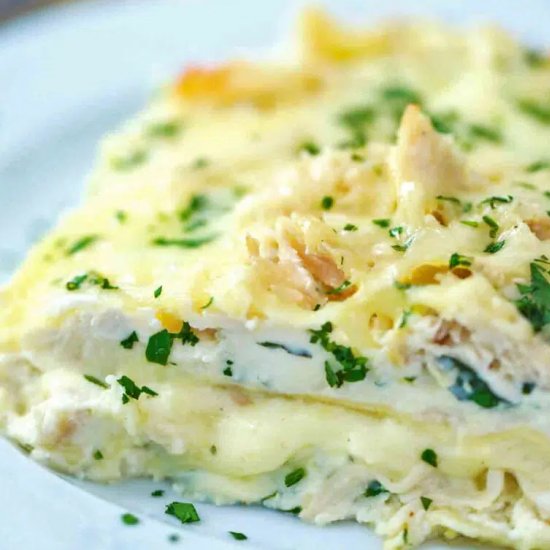 Chicken Alfredo Lasagna