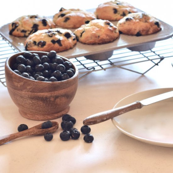 Easy Buttermilk Blueberry Muffin