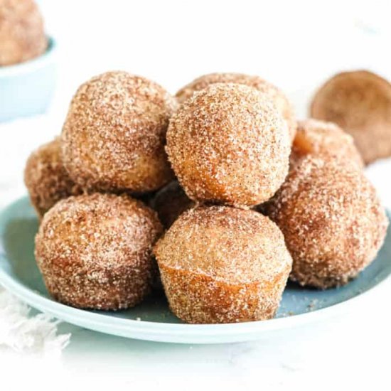 Baked Apple Cider Doughnut Holes