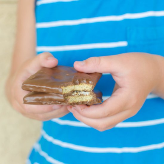 Chocolate Covered S’mores