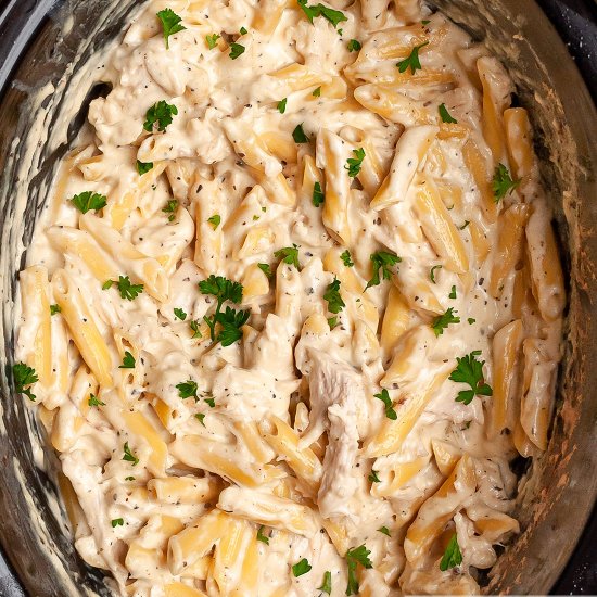 Crock Pot Chicken Alfredo