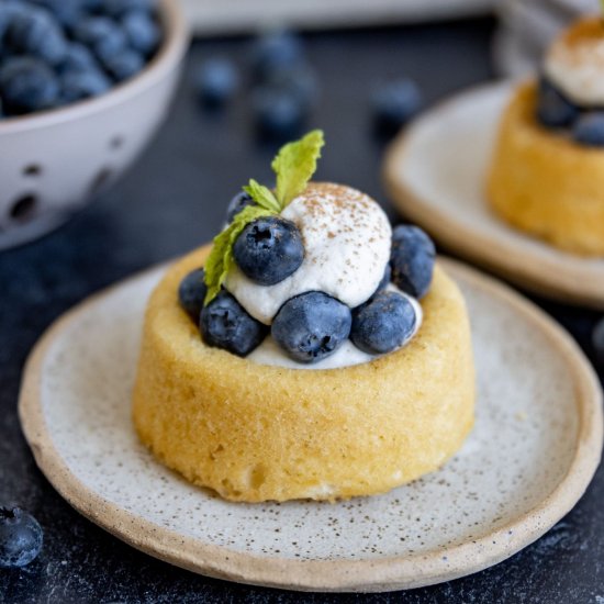 Blueberry Cinnamon Shortcakes