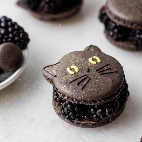 Blackberry Cat Macarons