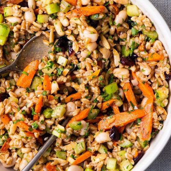 Fall Farro Salad