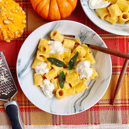 Pumpkin Alfredo with Burrata