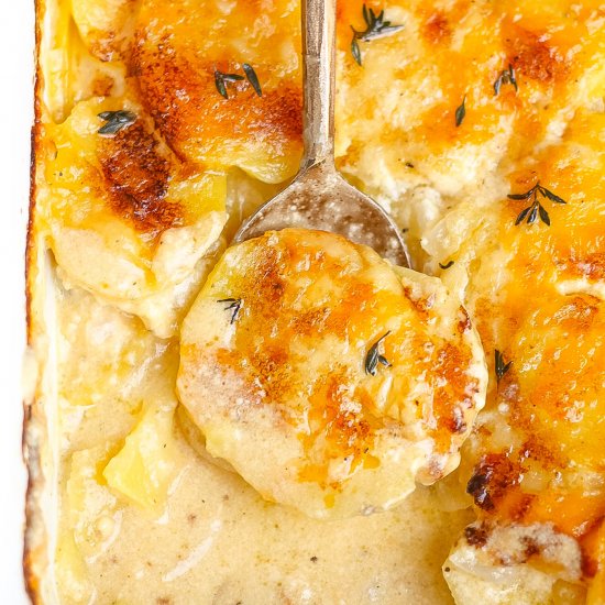 The Best Potato Gratin