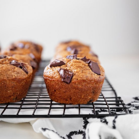 Pumpkin Chocolate Chip Muffins