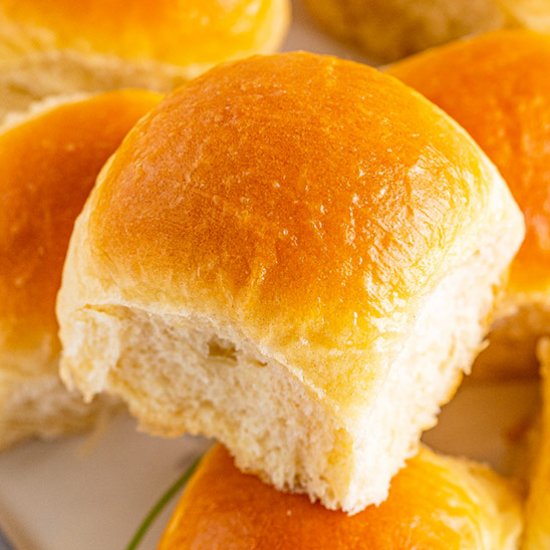 Dinner Rolls