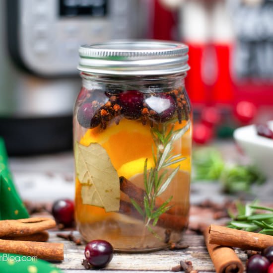 Instant Pot Christmas Potpourri