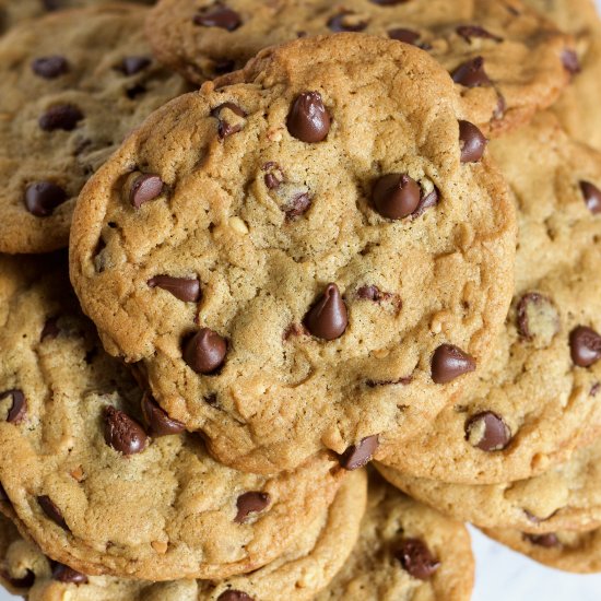 Peanut Butter Chocolate Chip Cookie