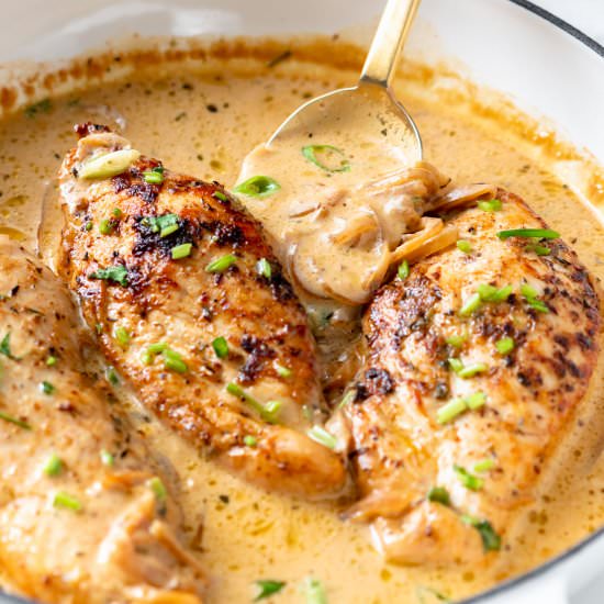 Chicken with creamy onion sauce