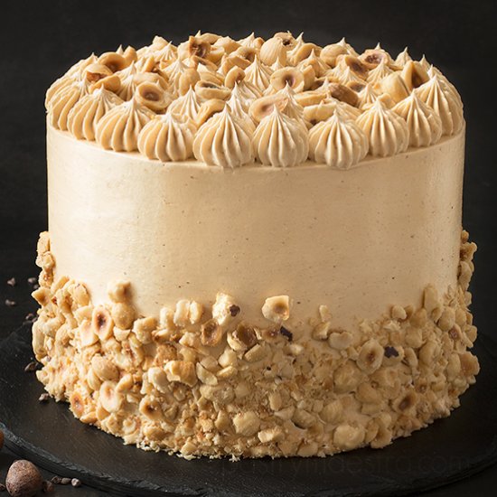 Chocolate and Hazelnut Cake