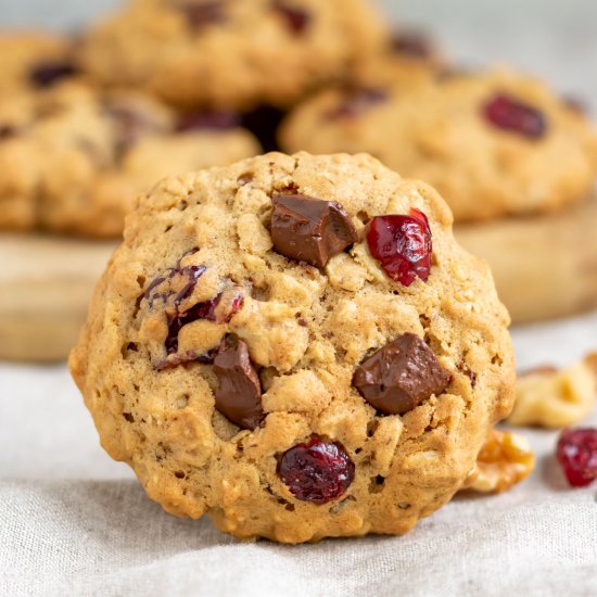 Chocolate Cranberry Oatmeal Cookies