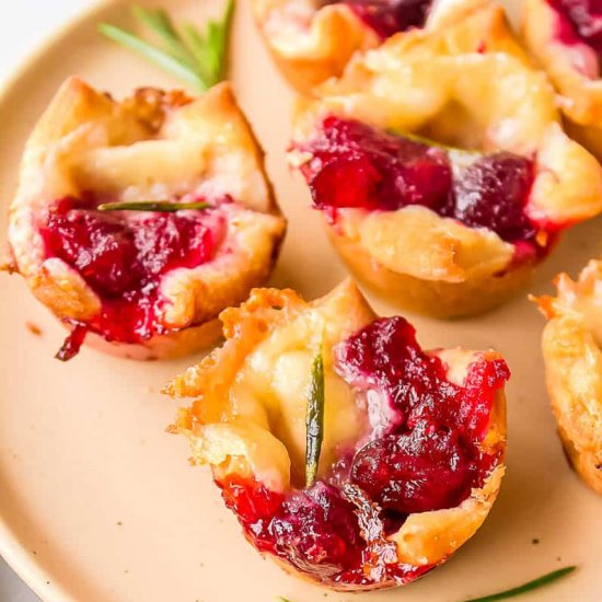 Cranberry Brie Bites