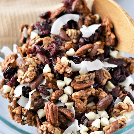 LOW-CARB TRAIL MIX WITH CRANBERRIES