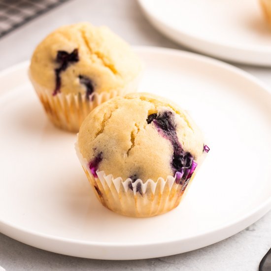 Vegan Blueberry Muffins