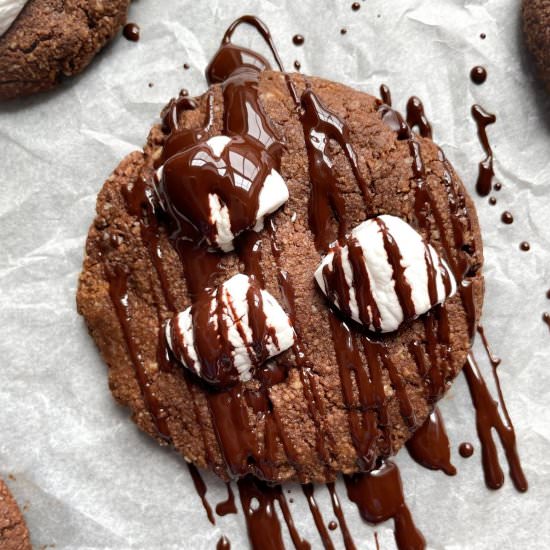 Gluten Free Hot Cocoa Cookies