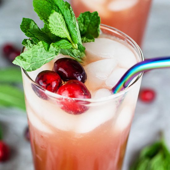 Cranberry Apple Ginger Mocktail