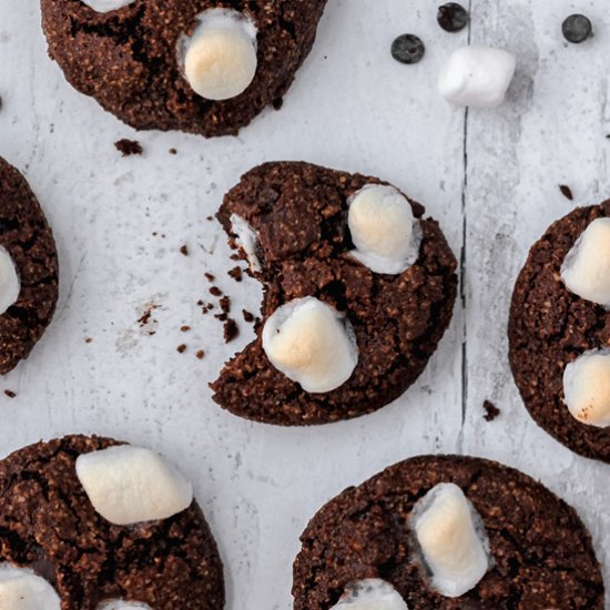 Hot Cocoa Cookies