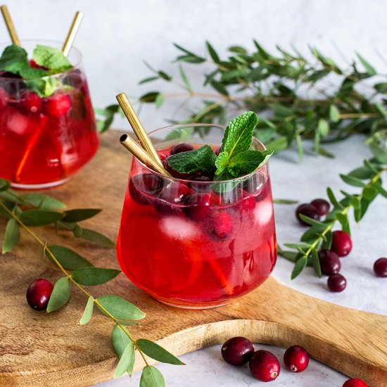 Cranberry Gin Tonic