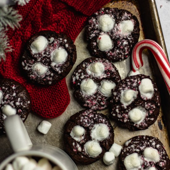 Hot Chocolate Peppermint Cookies