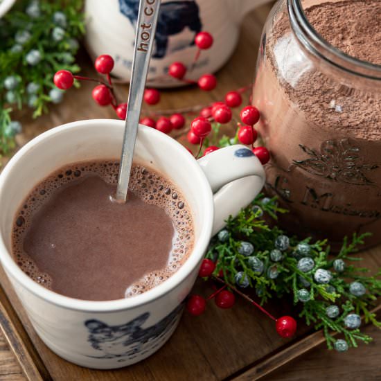 Best Homemade Hot Chocolate Mix