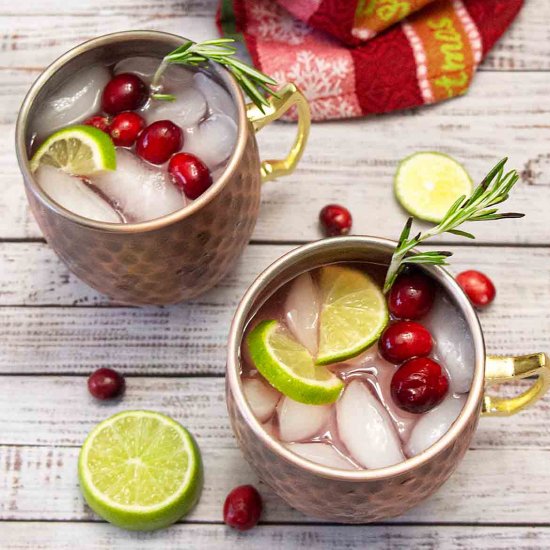 Cranberry Moscow Mule