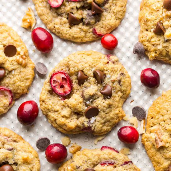 Chocolate Cranberry Oatmeal Cookies