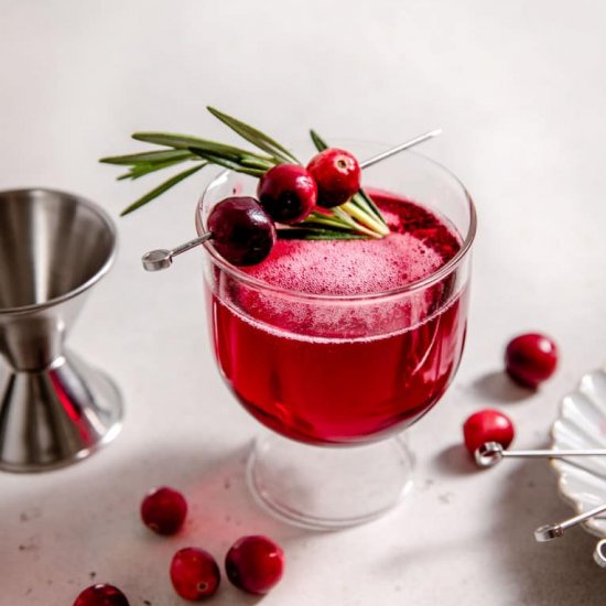 Holiday Cranberry Cocktail