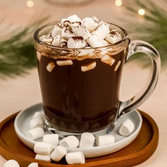 Dairy Free Hot Chocolate